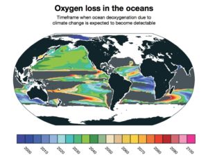 Deoxgenation due to climate change is already detectable in some parts of the ocean. New research from NCAR finds that it will likely become widespread between 2030 and 2040. Other parts of the ocean, shown in gray, will not have detectable loss of oxygen due to climate change even by 2100. (Image courtesy Matthew Long, NCAR.)