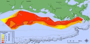 Researchers measured the largest dead zone since 1985 during their 2017 cruise, with this year's low-oxygen area totaling 8,776 square miles, larger than the state of New Jersey. Red on the map indicates hypoxia, where the oxygen level is less than 2 parts per million.