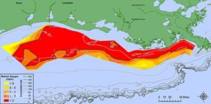 Gulf of Mexico dead zone in July 2017. N. Rabalais, LSU/LUMCON