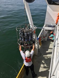 Research scientist Matt Kupnick guides a water sampler equipped with multiple sensors onto the R/V Pelican in the Gulf of Mexico. Photo Credit: R. Eugene Turner, LSU