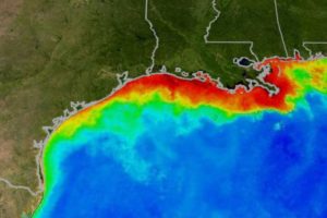 This image of the Gulf of Mexico in the summer was created by the Moderate Resolution Imaging Spectroradiometer (MODIS) instrument on NASA's Aqua satellite. Reds and oranges represent high concentrations of phytoplankton and river sediment. 