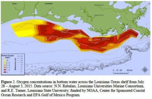 Oxygen concentrations along the Louisiana and Texas coast measured during the July 28-August 3, 2015, monitoring cruise. The Dead Zone, where oxygen concentrations were 2 parts per million or lower along the water bottom, was 6,474 square miles.