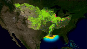 This map provided by NOAA shows how water pollution from farmland flows downstream into the Gulf of Mexico, creating a “dead zone” that cannot support marine life. The red dots indicate cities; lime green areas indicate farmland; and the yellow area is the dead zone. 