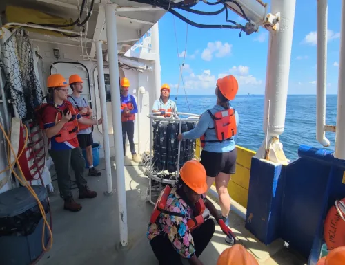 Local NPR station on findings from the latest Gulf hypoxia cruise